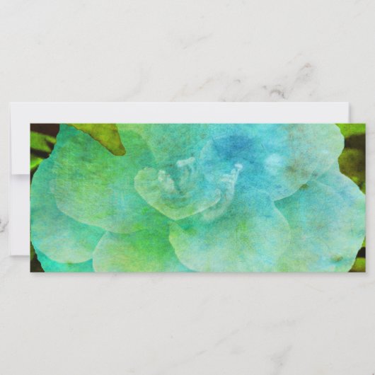 フラワー絵を描バイシャーリー・テイラー (正面)