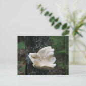 フラワー菌 ポストカード (スタンド正面)