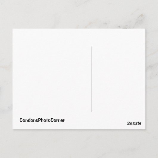 フラワー菌 ポストカード (裏面)