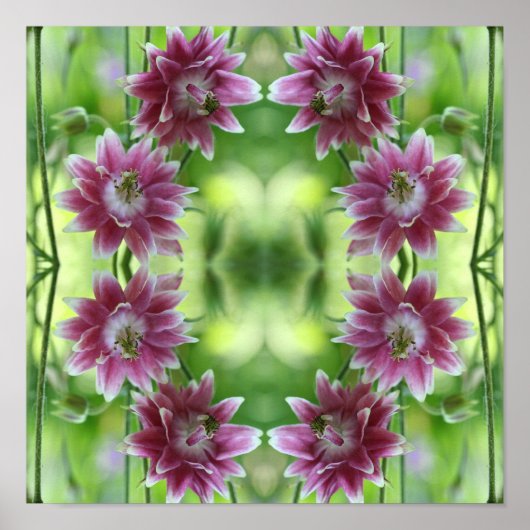 フラワー赤と白ペア抽象芸術アート ポスター (正面)