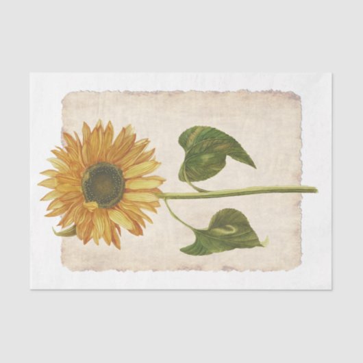 フラワー34黄色ひまわり切り離しティッシュペーパー 薄葉紙 (正面)