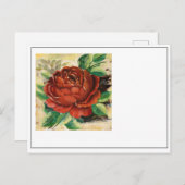 フラワーNo.1 ポストカード (正面/裏面)