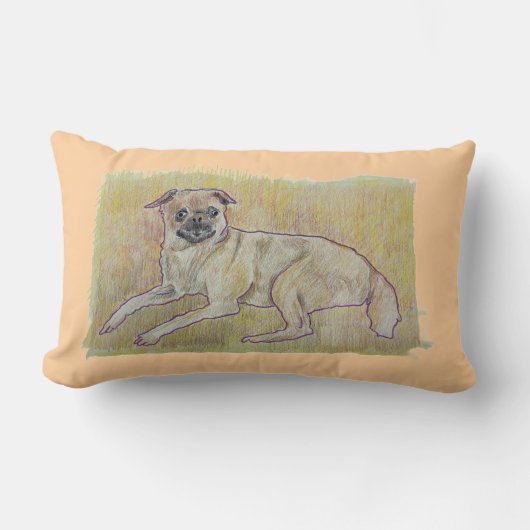 フランキー枕 ランバークッション (正面)