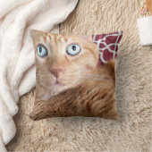 フランキー クッション (ブランケット)