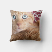 フランキー クッション (裏面)