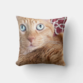 フランキー クッション