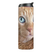 フランキー タンブラー (回転左)