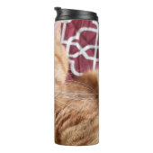 フランキー タンブラー (回転右)