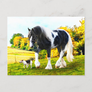 「フランキー&テッサ」ポストカード ポストカード