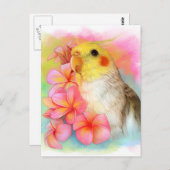 フランギパニとコッカティエル ポストカード (正面/裏面)