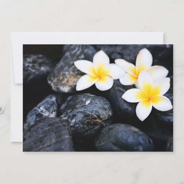 フランギパニの花 (正面)