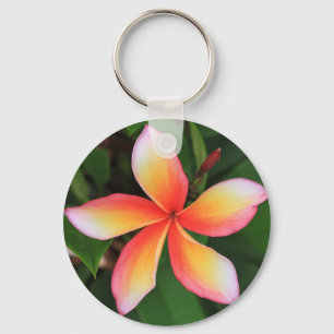 フランギパニの花 キーホルダー