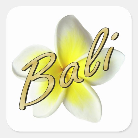 フランギパニの花 スクエアシール (正面)