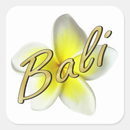 フランギパニの花 スクエアシール