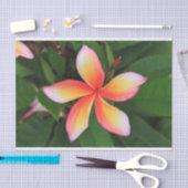 フランギパニの花 薄葉紙 (クラフト)