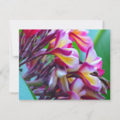 フランギパニブライダルシャワー 招待状 (裏面)