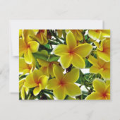 フランギパニブライダルシャワー 招待状 (裏面)