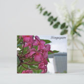 フランギパニブロッサムバイザベイ ポストカード (スタンド正面)