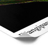 フランギパニ ポスター (角)