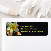 フランギパニ ラベル (インサイチュ)