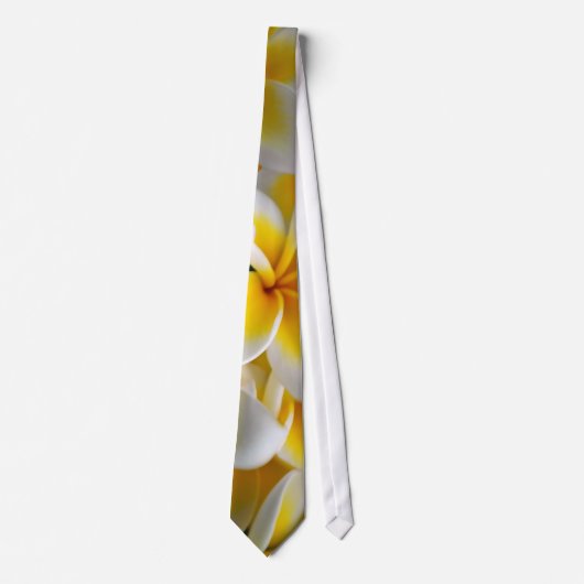 フランギ結婚パニ花 ネクタイ (正面)