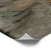 フランクバーナード・ディクシーによるバイキングの葬儀 ポスター (角)