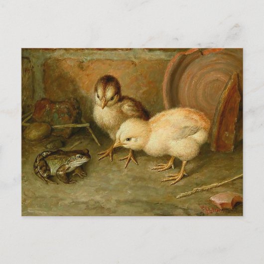 フランクパトン – ユアア・ア・ノーチキンはがき ポストカード (正面)