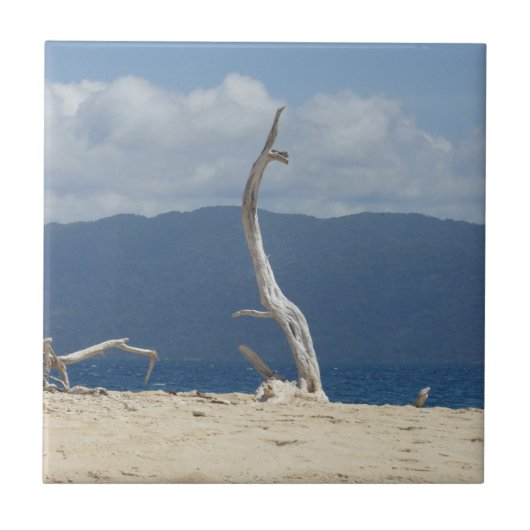 フランクランド諸島セラミックタイル タイル (正面)