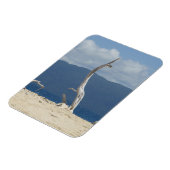 フランクランド諸島フレキシブルフォトマグネット マグネット (左側)