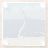 フランクランド諸島 – オーストラリアのガラスコースター ガラスコースター (裏面)