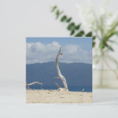 フランクランド諸島 – オーストラリアフラットカード (スタンド正面)