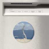 フランクランド諸島 – オーストラリア磁石 マグネット (インサイチュ (食洗機))