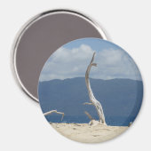 フランクランド諸島 – オーストラリア磁石 マグネット (正面/裏面)