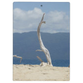 フランクランド諸島 – オーストラリア クリップボード (裏面)