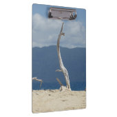 フランクランド諸島 – オーストラリア クリップボード (右)