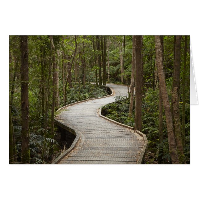 フランクリンからネルソンの滝への遊歩道, ゴードン (正面横)