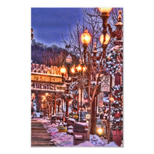 フランクリンのバロー フォトプリント            (正面)