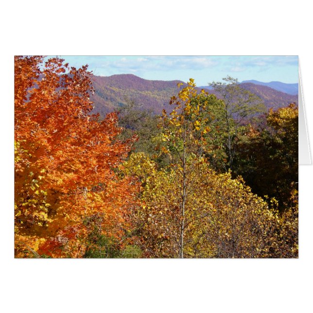 フランクリン山からの眺め (正面横)