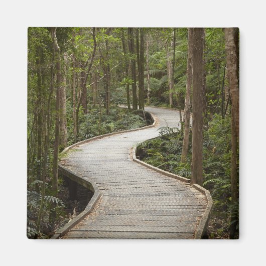フランクリン - ゴードン原始野河公園のネルソン滝への遊歩道 マグネット (正面)