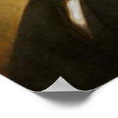 フランクリン・ピアース第14代大統領 ポスター (角)