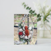 フランク、レオ、マンダリン ポストカード (スタンド正面)