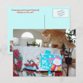 フランク&レオ：猫を見たか？ postctcard ポストカード (正面/裏面)