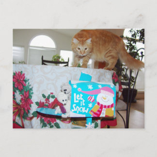 フランク&レオ：猫を見たか？ postctcard ポストカード