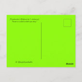 フランケンシュタインのマレフィセント ポストカード (裏面)