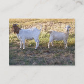 フランコとフレンド 名刺 (裏面)