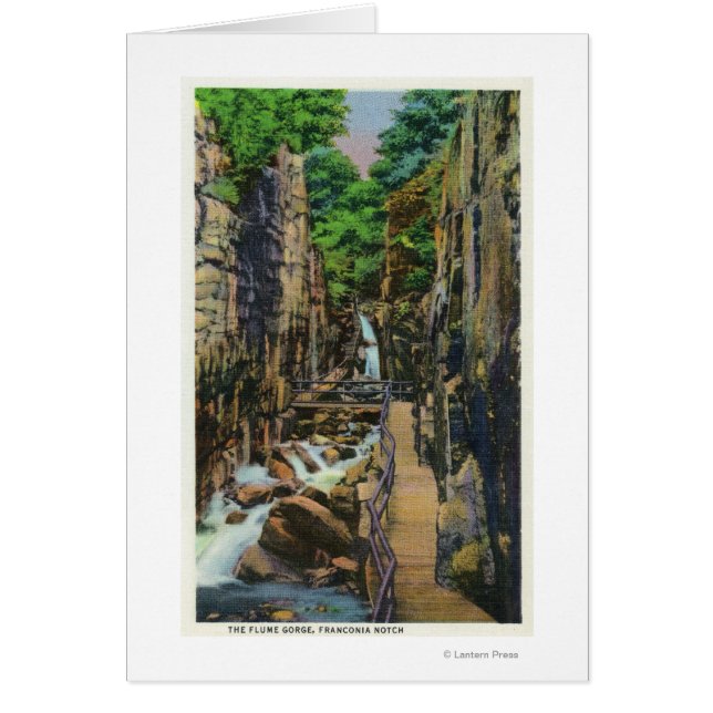 フランコニアノッチ州パーク2 (正面)