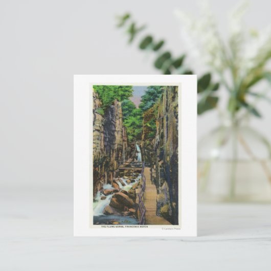 フランコニアノッチ州パーク ポストカード (スタンド正面)