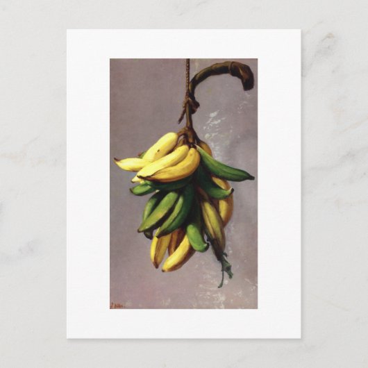 フランシスコオラープラタノスアマリロス ポストカード (正面)