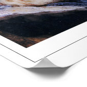 フランシスコ・ゴヤ・ゼディング・アート・ポスター#514 ポスター (角)