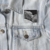 フランシス島の詳細II 缶バッジ (インサイチュ)